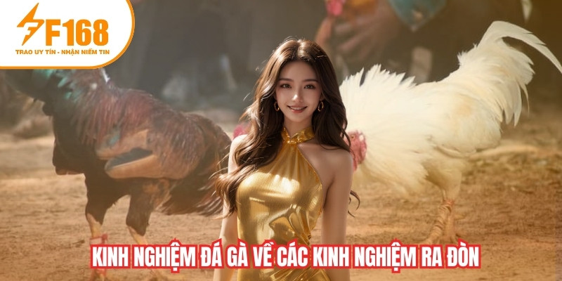 Kinh nghiệm đá gà về các kinh nghiệm ra đòn